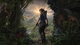 ݴ̳, Shadow of the Tomb Raider: Definitive Edition ߸