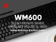 , ǴƮ   콺 WM600 
