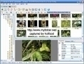 XnView V1.98