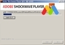 Adobe Shockwave Player V11.6.1.629