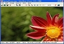 IrfanView V4.35 (ѱ)